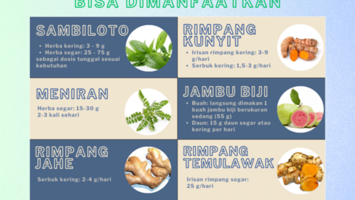 Tanaman Herbal untuk Daya Tahan Tubuh