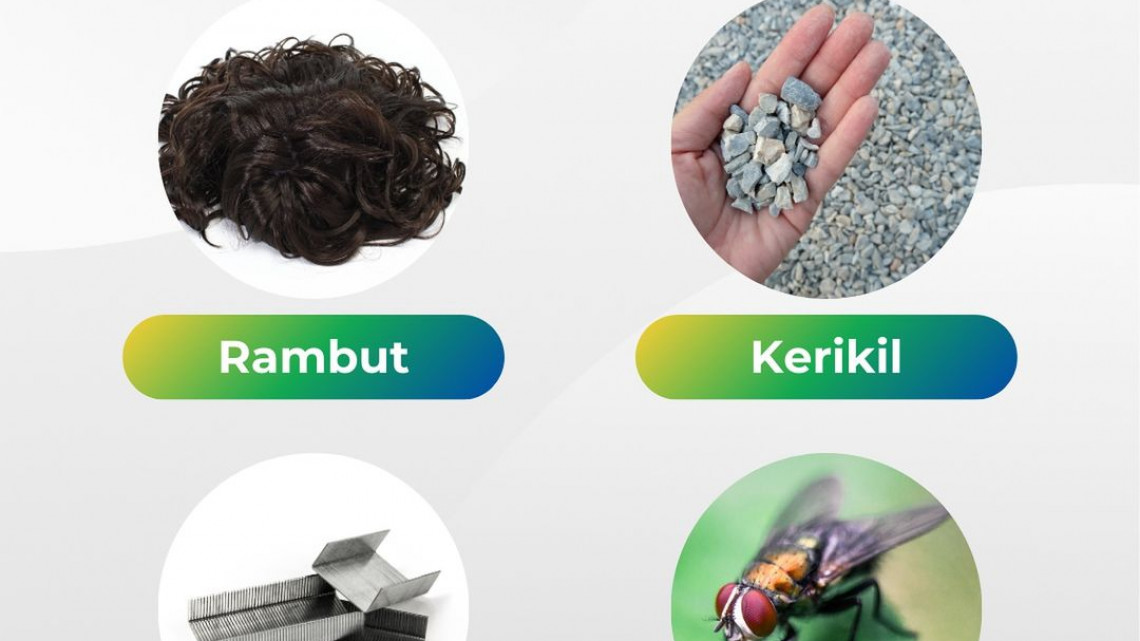Cemaran Fisik Pangan