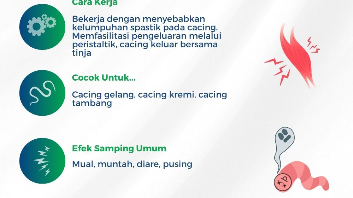Mekanisme obat cacing