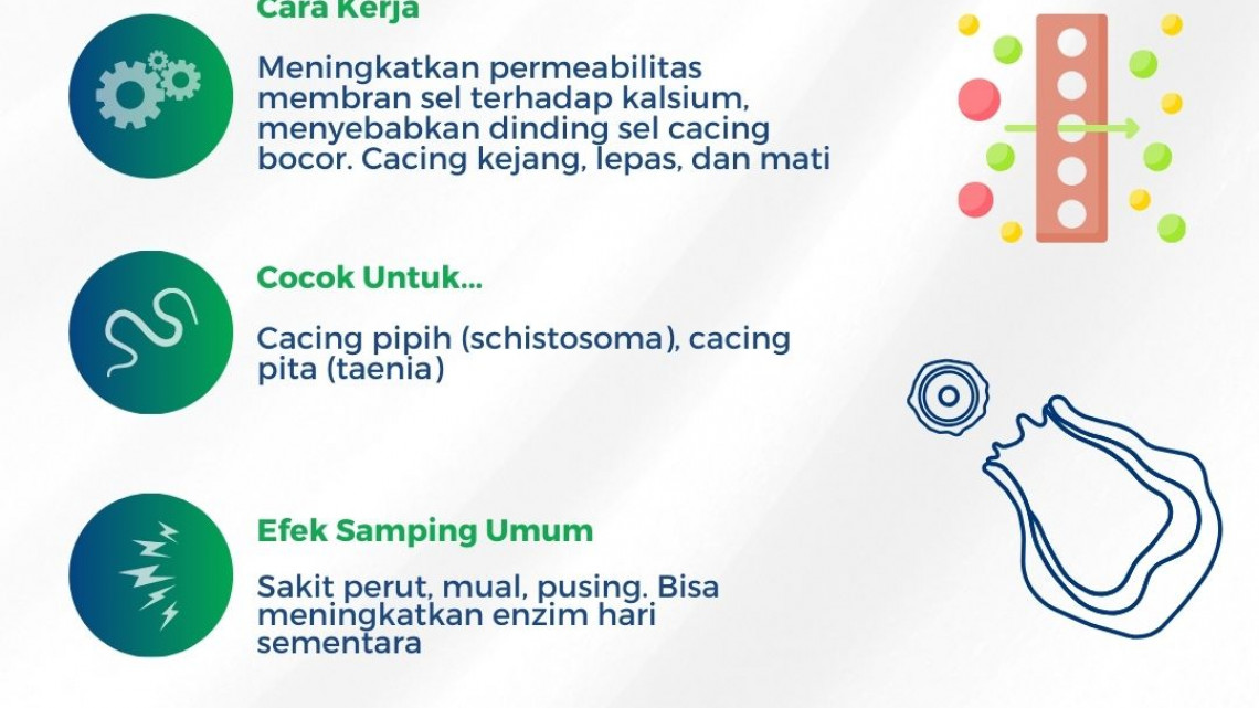 Mekanisme obat cacing